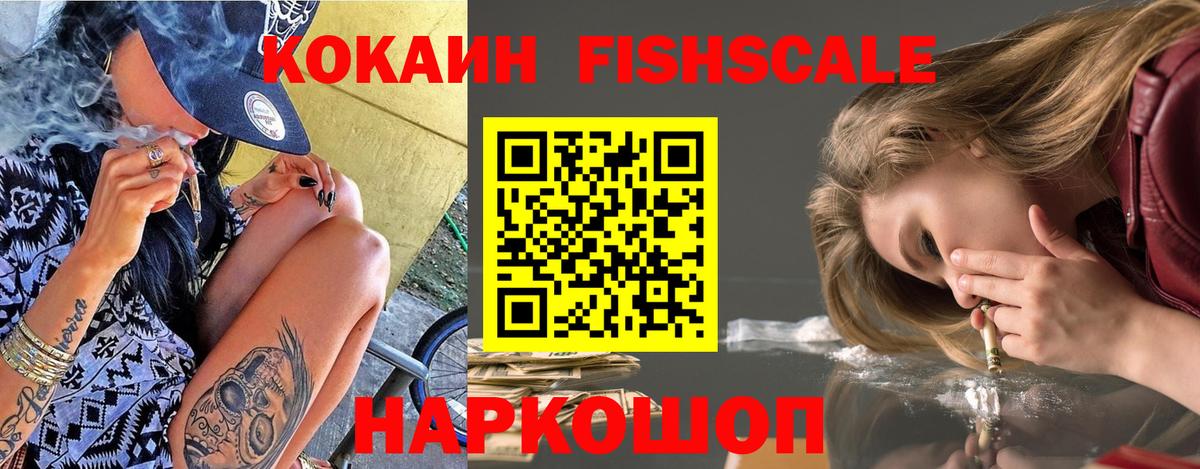 где продают   Вход с VPN  Cocaine Эквадор  Новозыбков  Cocaine 97% 