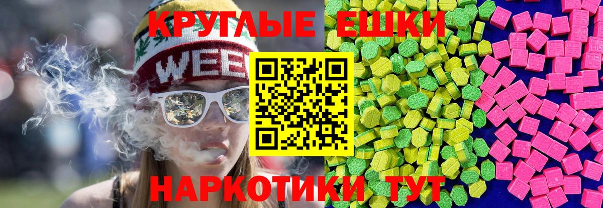 Ecstasy бентли Новозыбков