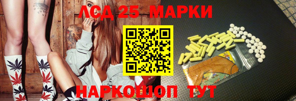 Новозыбков  ЛСД экстази ecstasy  Лсд 25 экстази  Вход с VPN 