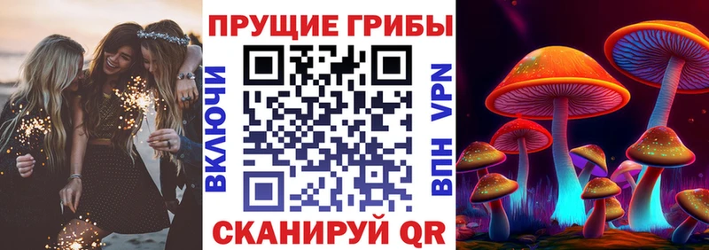 Галлюциногенные грибы Magic Shrooms Новозыбков