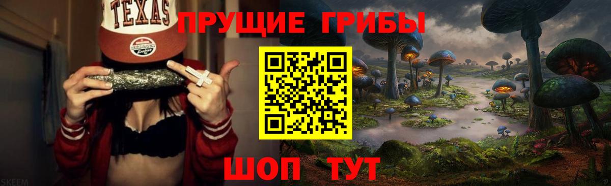 Псилоцибиновые грибы GOLDEN TEACHER Новозыбков